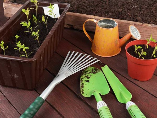 Nos idées de cadeaux pour les jardiniers - Jardin Yili